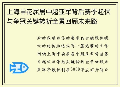 上海申花屈居中超亚军背后赛季起伏与争冠关键转折全景回顾未来路
